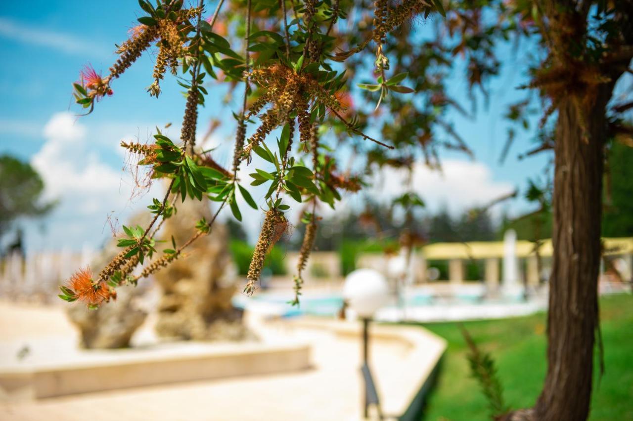 Villa Conca Marco ตอร์เรเดลลอร์โซ ภายนอก รูปภาพ