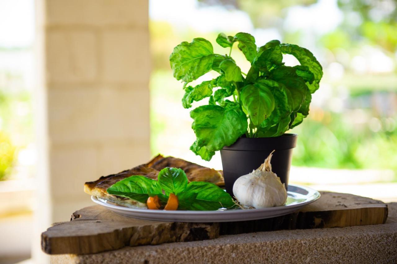 Villa Conca Marco ตอร์เรเดลลอร์โซ ภายนอก รูปภาพ